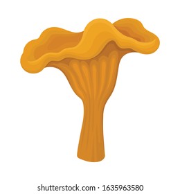 Raw Uncooked Mushroom Isolated on White Background Vector Food Item