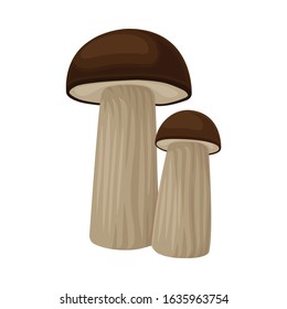 Raw Uncooked Mushroom Isolated on White Background Vector Food Item