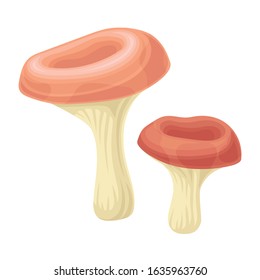 Raw Uncooked Mushroom Isolated on White Background Vector Food Item