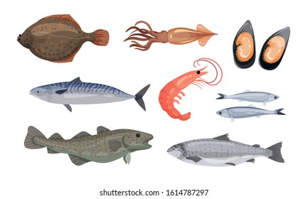 Raw and Uncooked Seafood Vector Set. Fresh Marine Products for Market