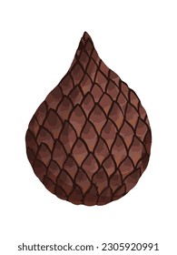 Raw unopened snake fruit vector illustration isolated on vertical white background. Sweet healthy food famous in Indonesia. Cartoon art styled art.