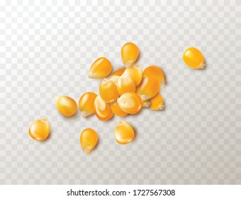 Raw vector popcorn grains isolated on white background. Dry yellow corn seeds, maize or sweetcorn kernels 3d realistic illustration