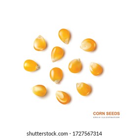 Raw vector popcorn grains isolated on white background. Dry yellow corn seeds, maize or sweetcorn kernels 3d realistic illustration