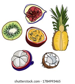 Raw vegan food delicious tropical passion fruit pineapple coconut mangosteen fig kiwi vector graphics illustration pattern background wallpaper design 