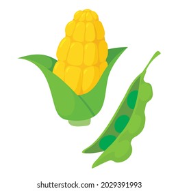 Raw vegetable icon isometric vector. Organic fresh cob corn and green pea pod. Healthy food, foodstuff