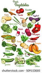 Raw vegetables. Carrot, tomato, cucumber, potato, onions, eggplant, cabbage, radish, beet, bell pepper, chili, corn, turnip, pumpkin, celery, broccoli, peas, beans, zucchini, cauliflower, lettuce.