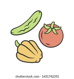 Raw vegetables color icon. Vegetarian diet and healthy eating. Organic vegan food, fresh veggies salad ingredients. Whole cucumber, tomato and bell pepper isolated vector illustration
