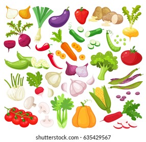 Hortalizas crudas con iconos realistas aislados en rodajas con setas de ajo de pimienta calabacín de tomate cebolla pepino ilustración vectorial.Conjunto de verduras frescas para su diseño