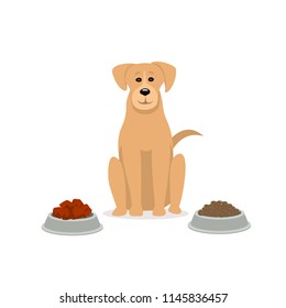 raw vs kibble  dog food  graphic