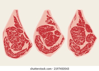 raw wagyu sirloin steak isolated on background. japanese beef