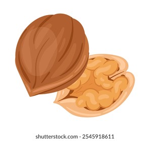 Raw walnuts nut. Cartoon walnut with shell, tasty snack for vegetarian diet flat vector illustration. Organic crunchy walnuts on white