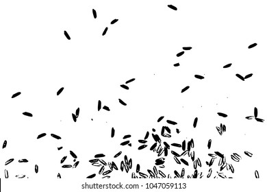 Raw white rice explosion. Thrown rice seeds on white background. Silhouette of flakes, spread on the flat surface or table. Top view. Vector.