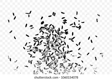 Raw white rice explosion. Thrown rice seeds on transparent background. Silhouette of flakes, spread on the flat surface or table. Top view. Vector.