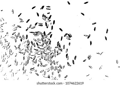 Raw white rice explosion. Thrown rice seeds on white background. Silhouette of flakes, spread on the flat surface or table. Top view. Vector.