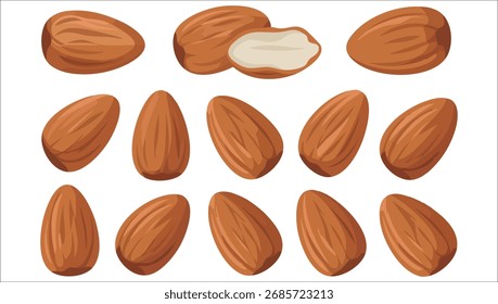 fundo branco isolado de arte vetorial de amêndoas inteiras cruas