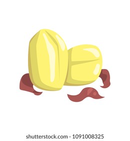 Raw whole peeled potato vector Illustration on a white background