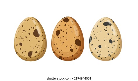 Raw whole quail eggs, vector illustration isolated on white background