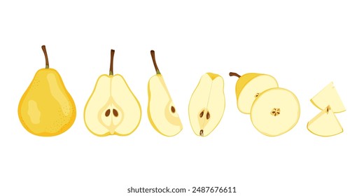 Raw yellow pear fruit from different angles. Ripe whole, half, quarter and slice pear.  Simple hand drawn vector isolated on white background.