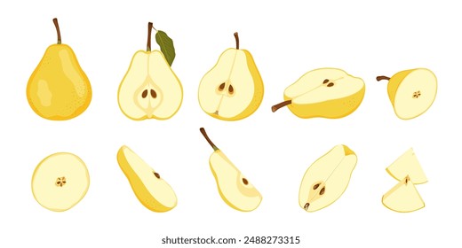 Raw yellow pear fruit. Ripe whole, half, quarter and slice pear. Simple hand drawn vector isolated on white background.