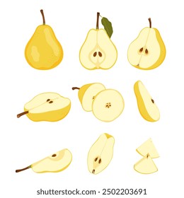 Raw yellow pear fruit. Ripe whole, half, quarter and slice pear. Simple hand drawn vector set isolated on white background.