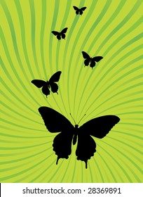 Ray burst and butterfly background vector