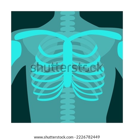 Ray of human chest front view vector illustration. Bones of skeleton, roentgen, radiography isolated on white background. Anatomy, medicine, health concept