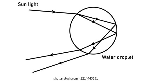 Rayo de luz que cae oblicuamente sobre una gota de agua para la formación del arco iris. Ilustración vectorial científica aislada en fondo blanco.