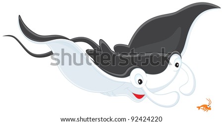 Ray Manta and krill