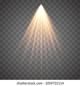 Rays of light isolated on transparent background. Golden spotlight. Sun flash. Vector illustration