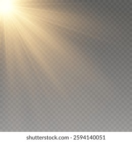 Rays of warm light. Sunlight. Lighting.
yellow light