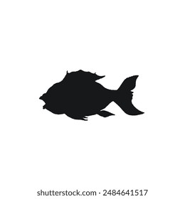 razor silhouette of fish without background