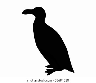 Razorbill as black silhouette on white background