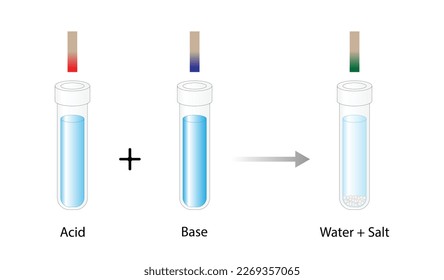 Acid–base reaction. chemical reaction neutralization. Acid, Base and Salt. HCl hydrochloric acid, NaOH sodium hydroxide, and NaCl, sodium chloride. PH indication. Vector illustration.