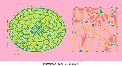 Reaction diffusion organic pattern. Generative art design.