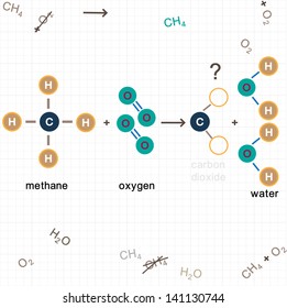 The reaction equation.