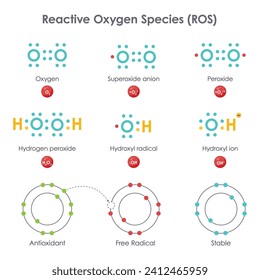 Reaktive Sauerstoffarten Art ROS Biochemie Vektorgrafik