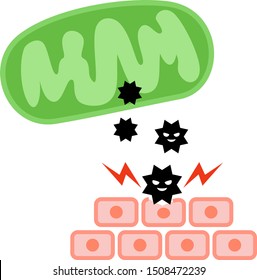 Reactive oxygen that destroys cells