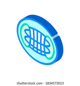 reactor hypothetical structure isometric icon vector. reactor hypothetical structure sign. isolated symbol illustration