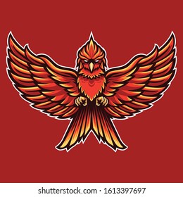 Read Bird Phoenix  Logo Template for e sport and sport mascot  isolated on dark background