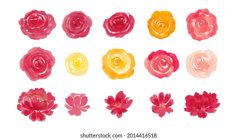 read and yellow watercolor rose flower isolated element