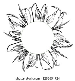 Ready card with primroses. Card with snowdrops, wreath with the first spring flowers. Vector