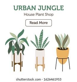 Ready to use web banner with different home plants. Perfect for advertisement. Made in Scandinavian style. 