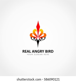Real Angry Bird Logo