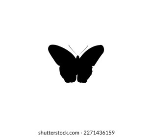 Real butterfly vector tracing with black color.