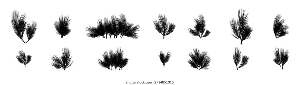 Real Christmas plants and floral patterns vector illustration.