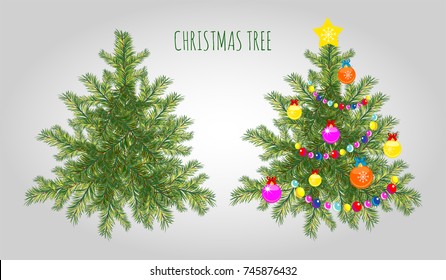 Real Christmas spruce tree. Sketch for greeting card with text, festive poster or party invitations.The attributes of Christmas and New year. Vector closeup illustration