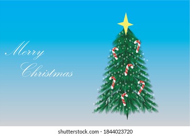 Real Christmas spruce tree with snow and cady cane. Sketch for greeting card with text, festive poster or party invitations.The attributes of Christmas and New year 3d vector