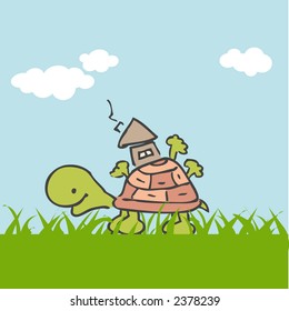  real estate turtle