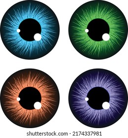 Real eye colors, illustration, iris,  colorful eyes vector illustration on white background.