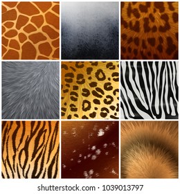 Real and faux exotic fur skin hide texture color pattern 9 realistic samples collection isolated vector illustration